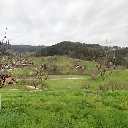 Apartament Haus Am Schroffen Ottenhöfen im Schwarzwald Zewnętrze zdjęcie