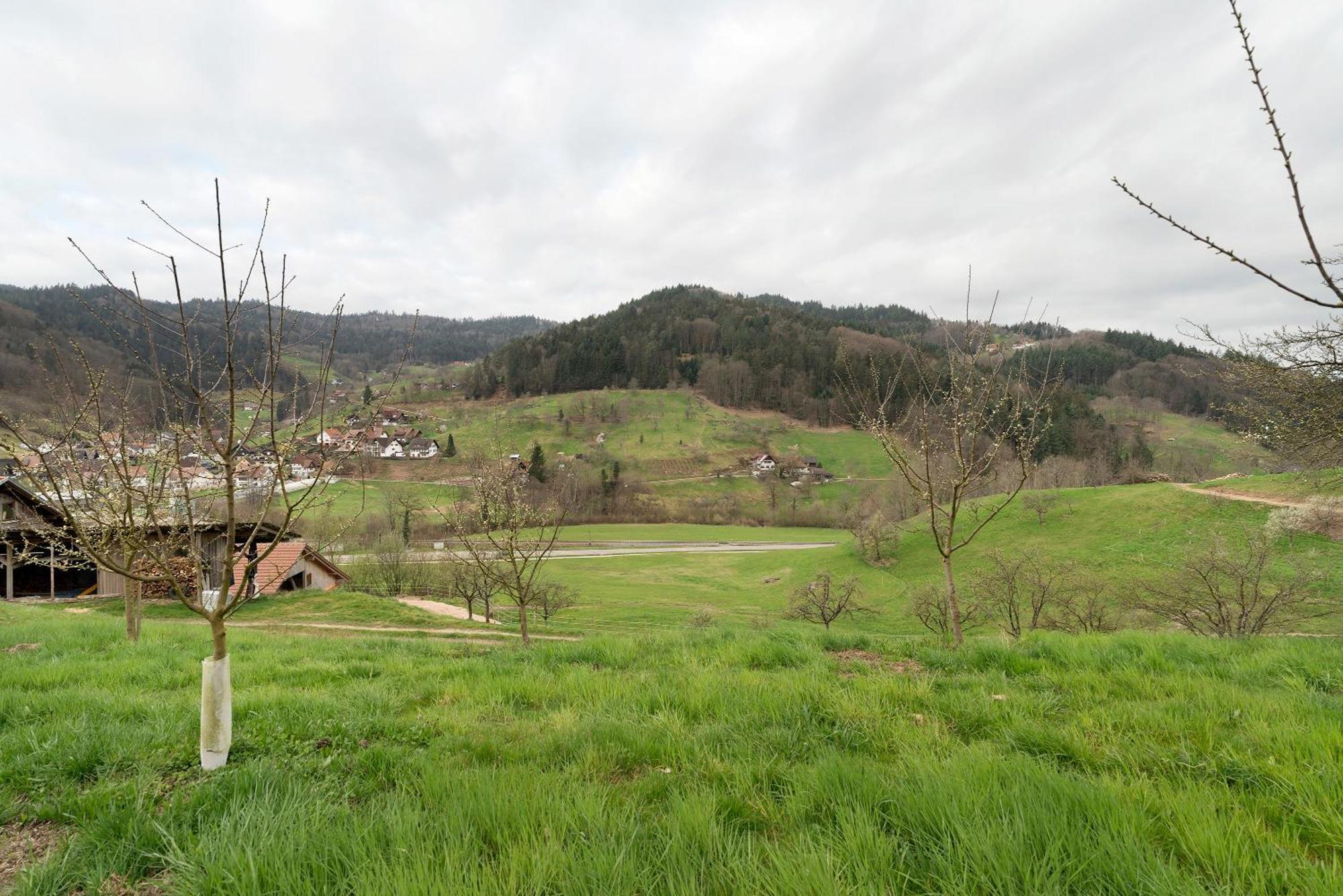 Apartament Haus Am Schroffen Ottenhöfen im Schwarzwald Zewnętrze zdjęcie