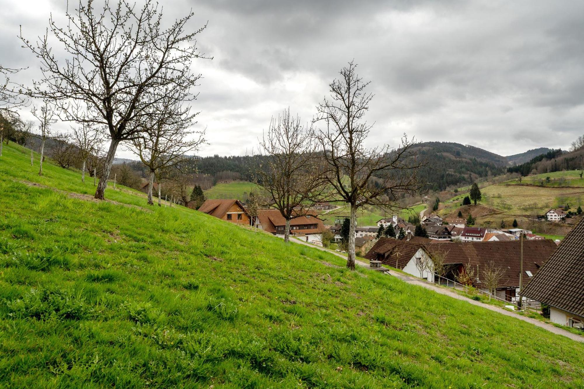 Apartament Haus Am Schroffen Ottenhöfen im Schwarzwald Zewnętrze zdjęcie